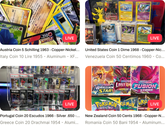 Live Auction Image
