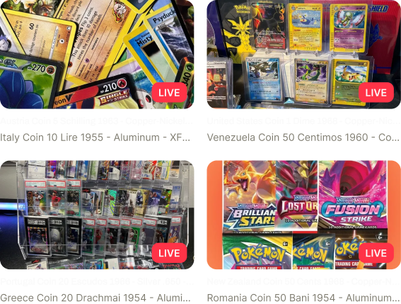 Live Auction Image